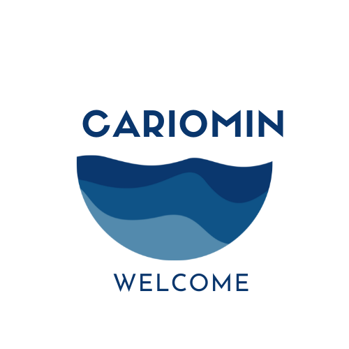 cariomin.shop